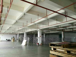 深圳龍崗優質廠房、倉庫及土地租賃，分租面積500至2000平方米